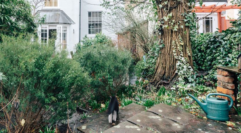 Photo of A Right Royal Stay