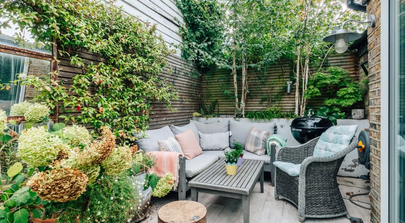 Photo of The Colourful Family