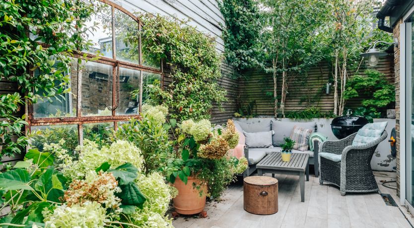 Photo of The Colourful Family