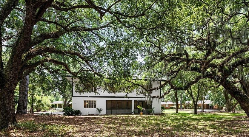 Photo of Damn Fine Coffee