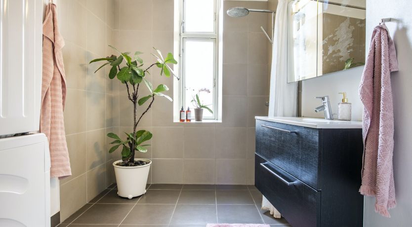 Photo of Three Daughters