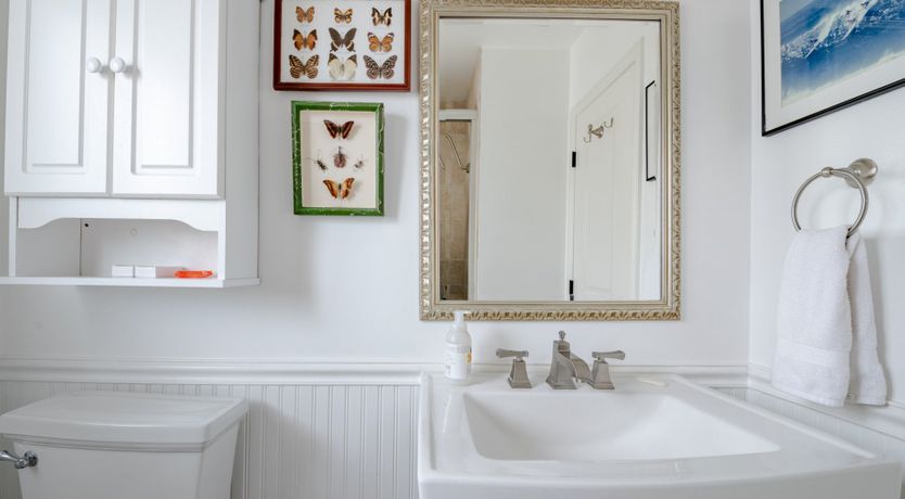 Photo of The Lepidopterist