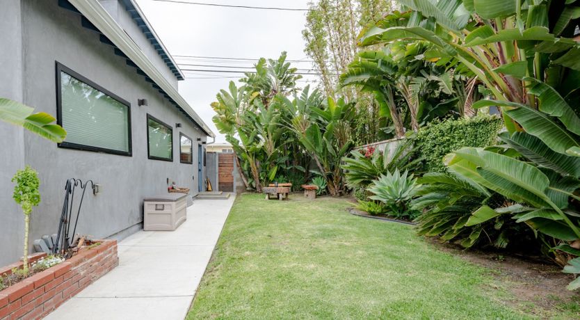 Photo of The Lepidopterist