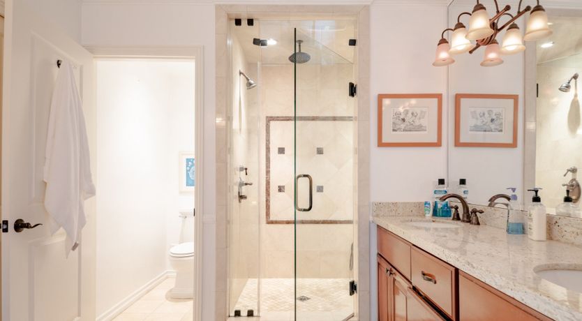 Photo of The Lepidopterist