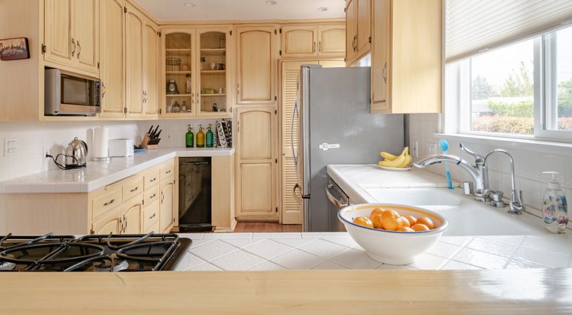 Photo of The Lepidopterist