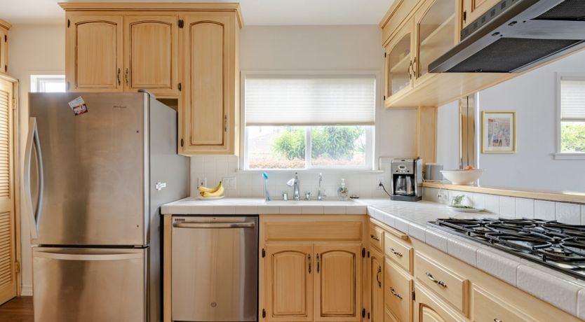 Photo of The Lepidopterist