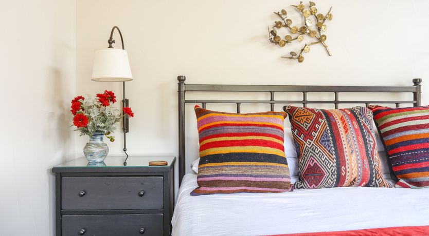 Photo of Bluebird Day