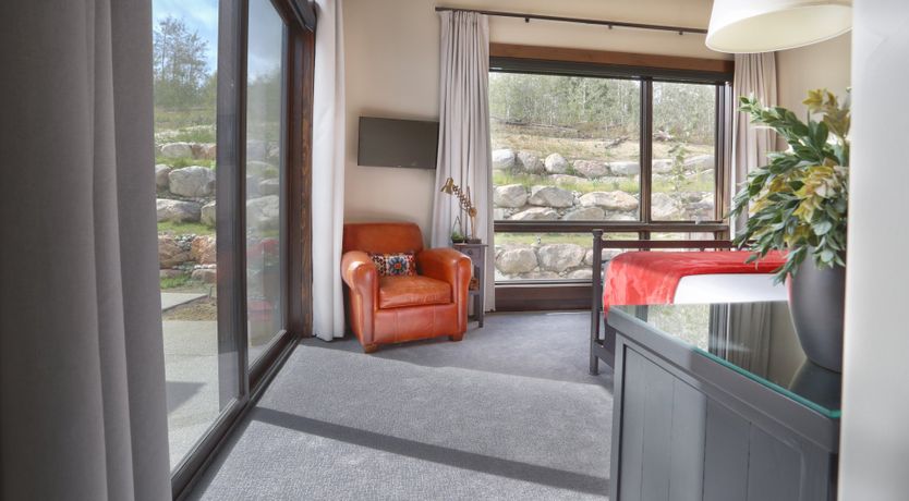 Photo of Bluebird Day