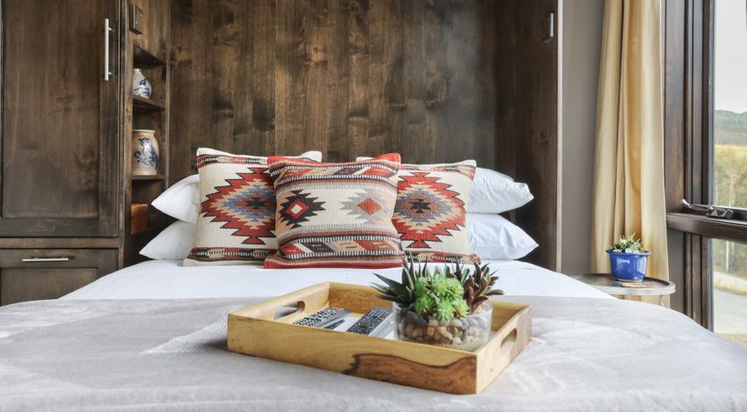 Photo of Bluebird Day