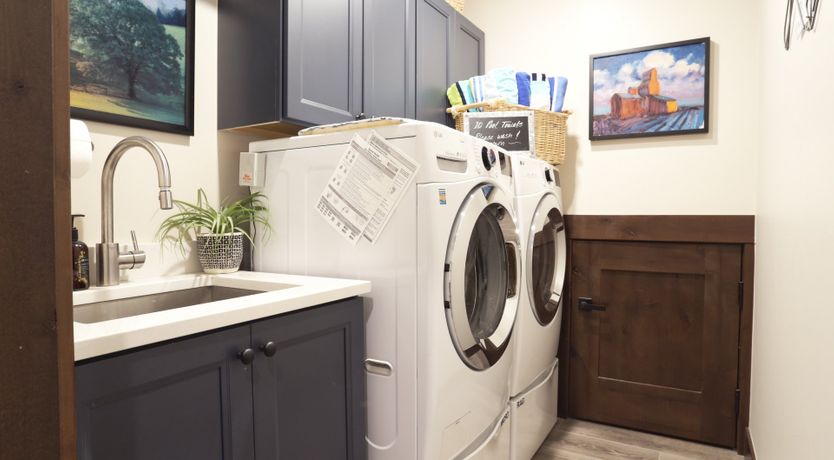 Photo of Bluebird Day