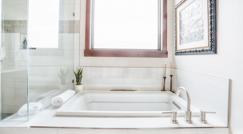 Photo of Bluebird Day