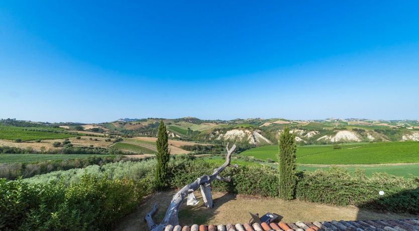 Photo of Brown Sugar