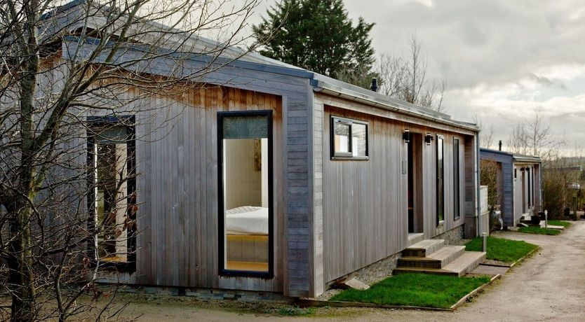 Photo of Golden Patchwork