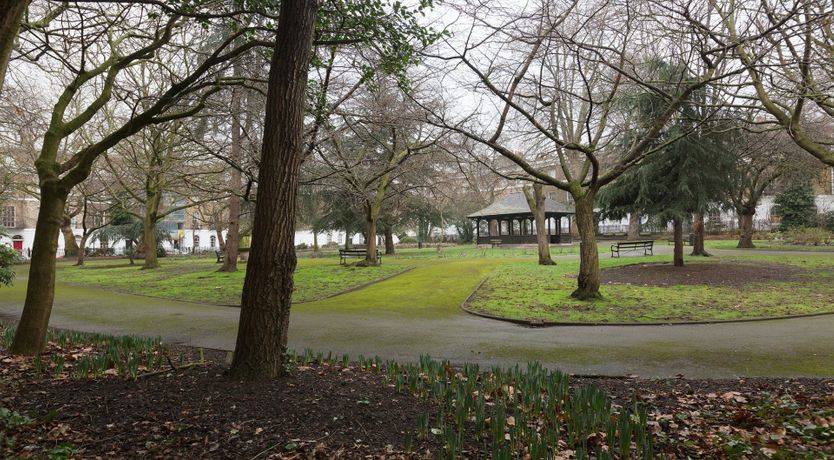 Photo of Concrete Jungle