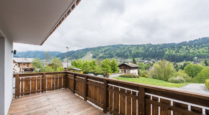 Photo of Western Pine