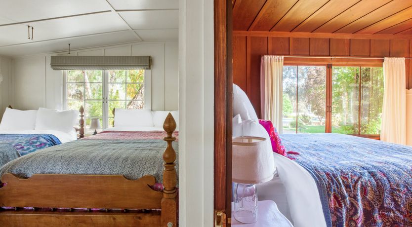 Photo of The Pepper Tree