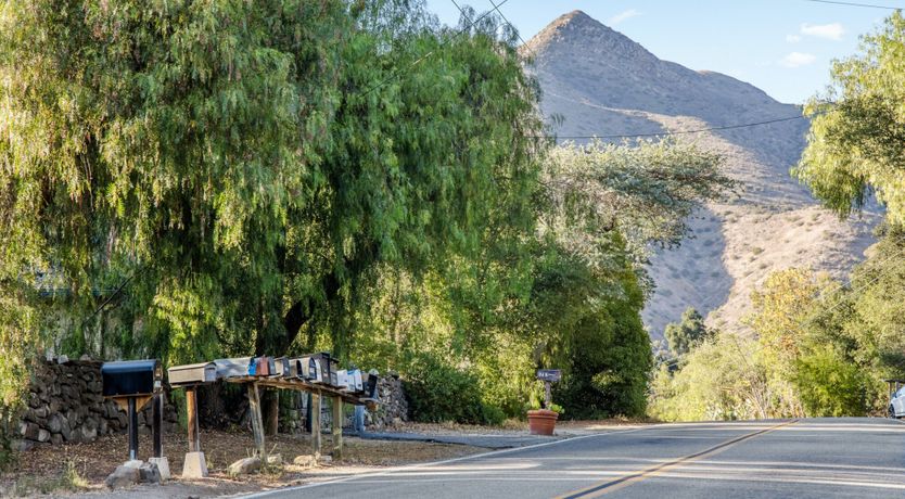 Photo of The Pepper Tree
