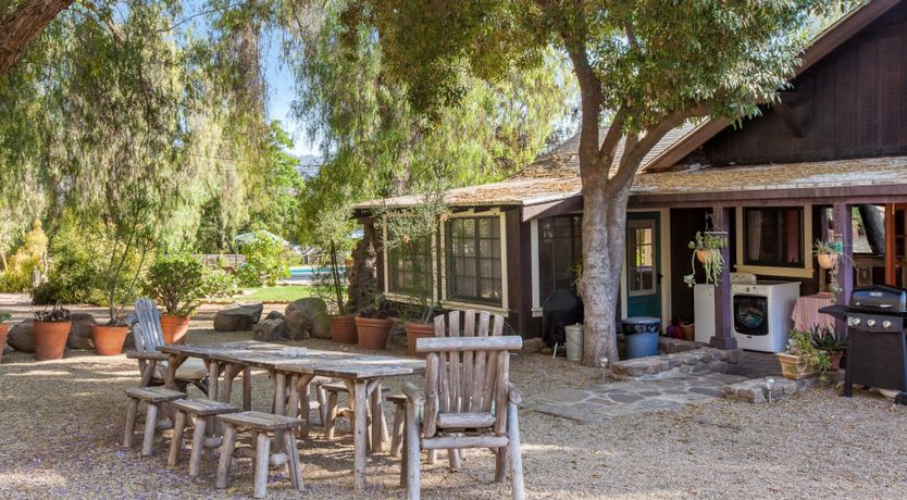 Photo of The Pepper Tree