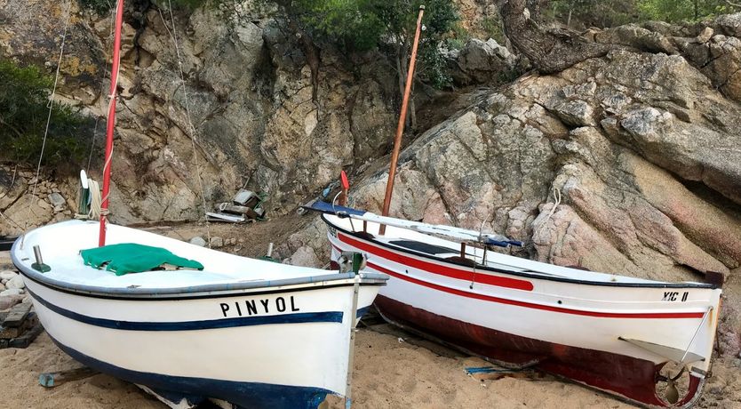 Photo of The Last Tycoon