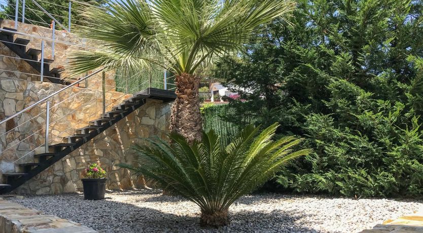 Photo of The Last Tycoon