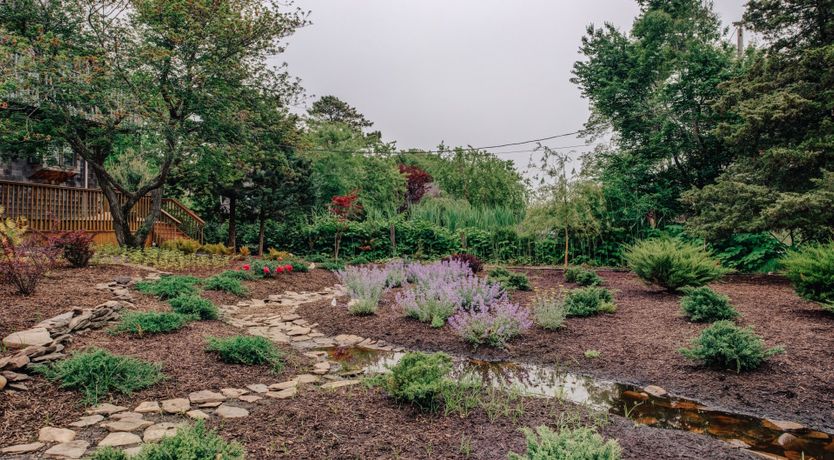 Photo of Long Island Iced Tea