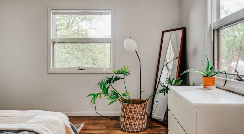 Photo of Long Island Iced Tea