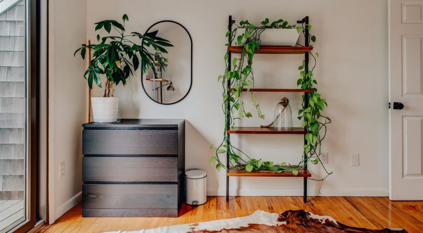 Photo of Long Island Iced Tea