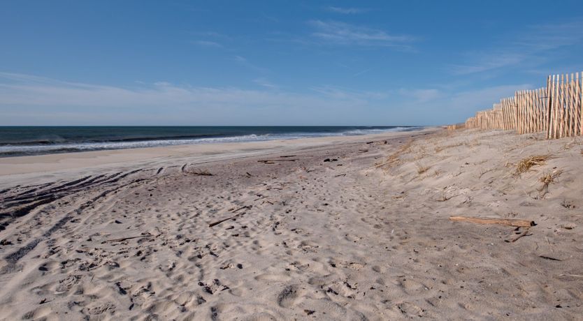 Photo of Long Island Iced Tea