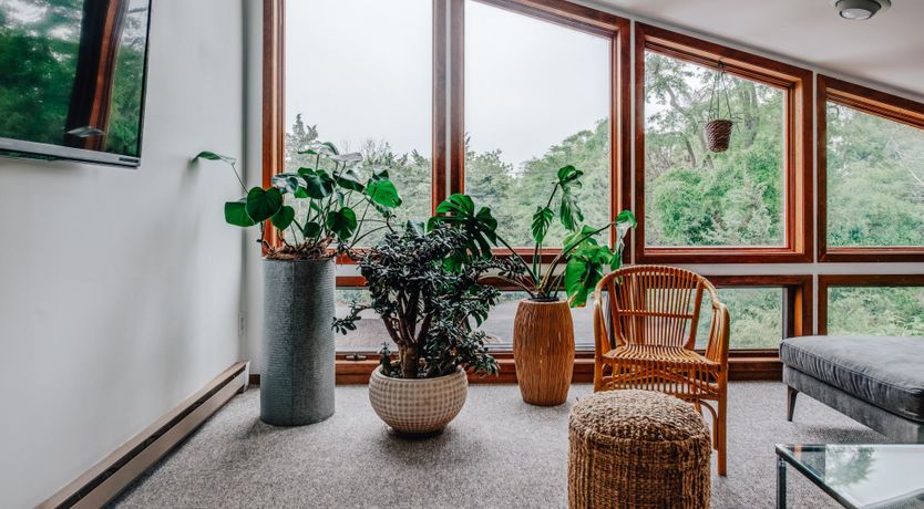 Photo of Long Island Iced Tea