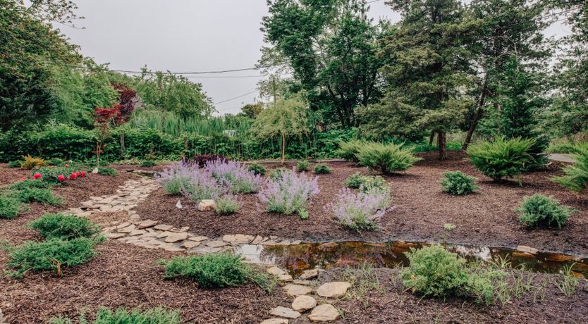 Photo of Long Island Iced Tea