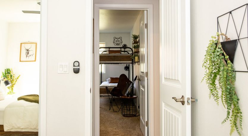 Photo of Black Arrow