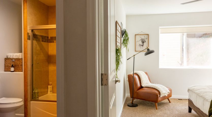 Photo of Black Arrow