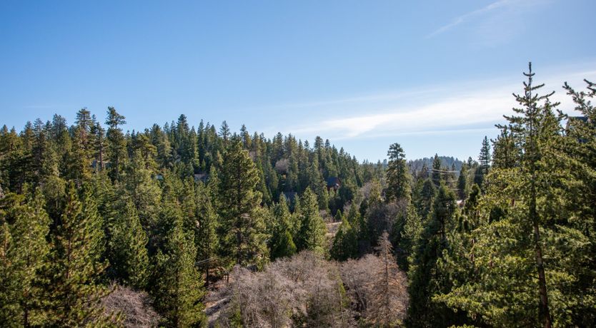 Photo of Black Arrow