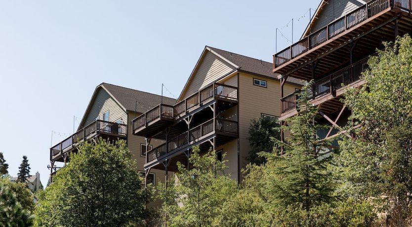 Photo of Black Arrow