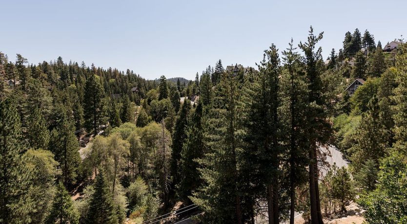 Photo of Black Arrow