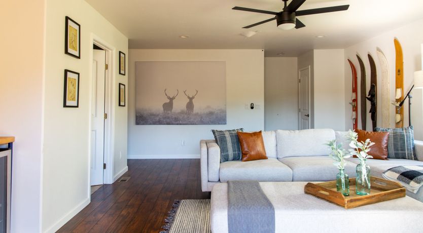 Photo of Black Arrow