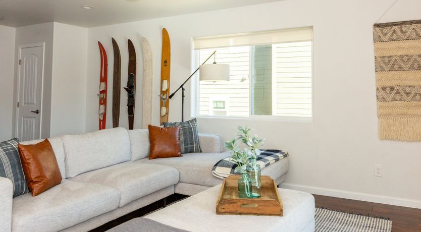 Photo of Black Arrow