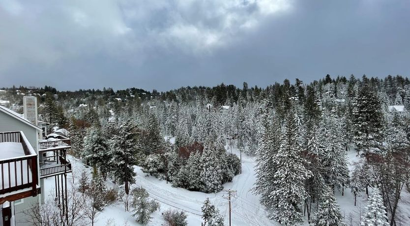 Photo of Black Arrow