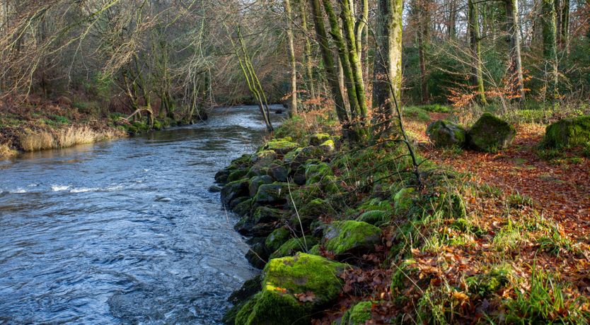 Photo of Rock House Cottage