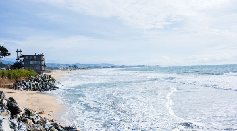 Photo of The Curve of the Moon