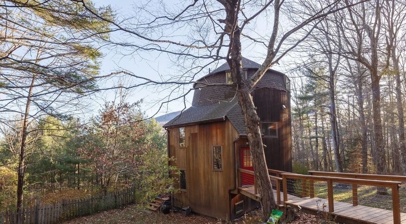 Photo of Soul Of The Willow