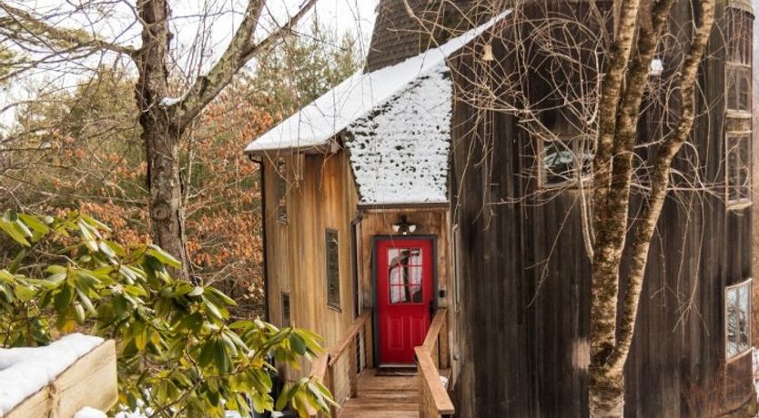 Photo of Soul Of The Willow