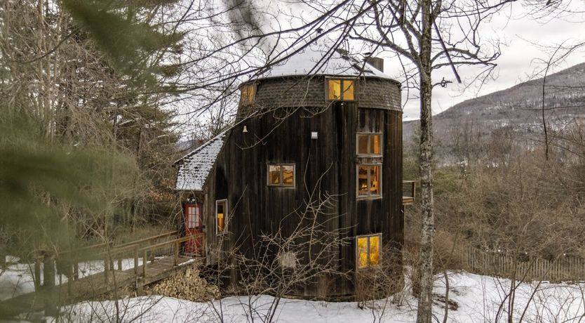 Photo of Soul Of The Willow