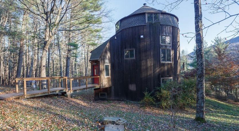 Photo of Soul Of The Willow