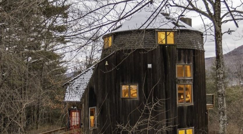 Photo of Soul Of The Willow