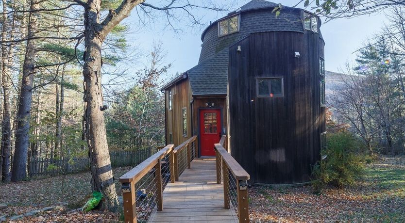 Photo of Soul Of The Willow