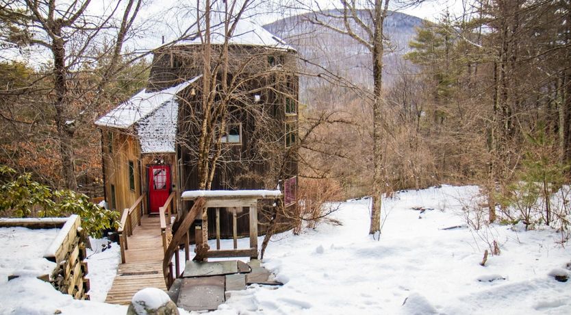 Photo of Soul Of The Willow