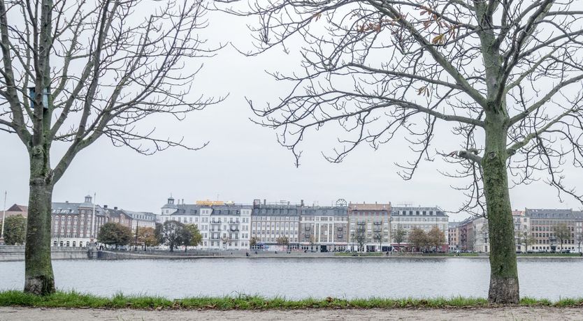 Photo of The Graffiti Gallery