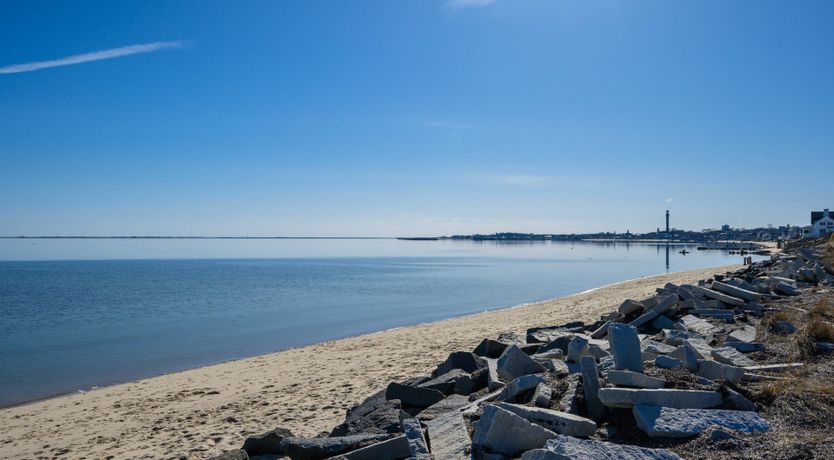 Photo of Sea Urchin Escape