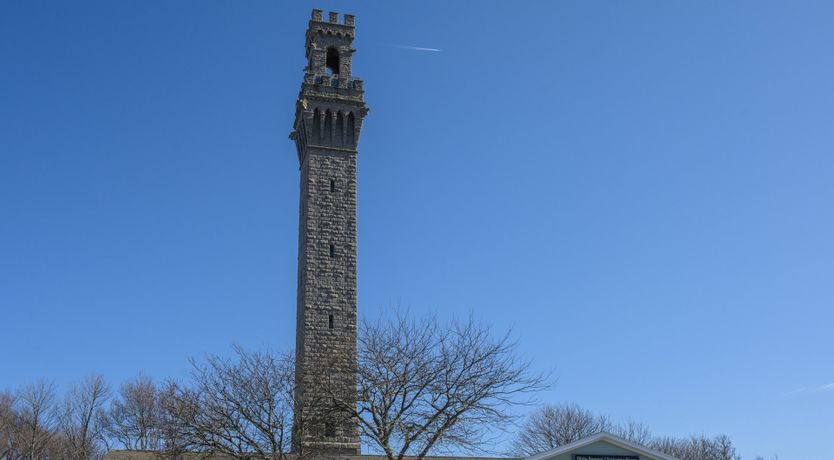 Photo of Sea Urchin Escape